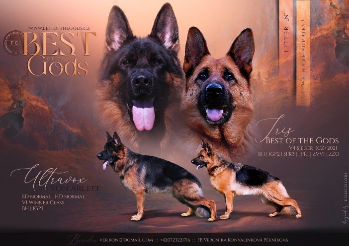 irisultravox