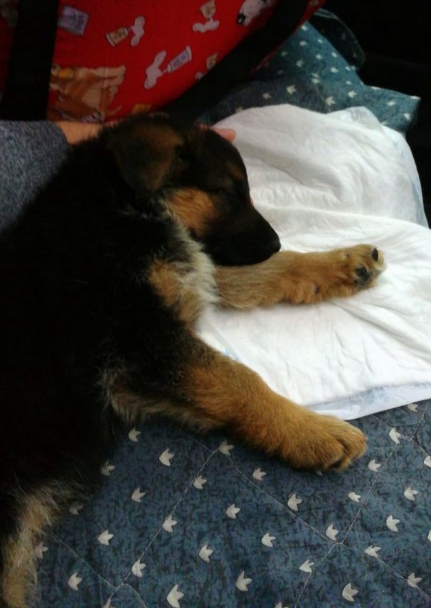 IMG-20190202-WA0005