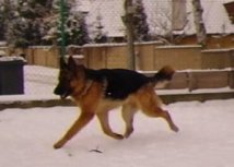 sam_3883.jpg