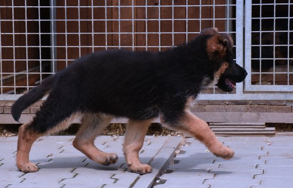 DSC 7914