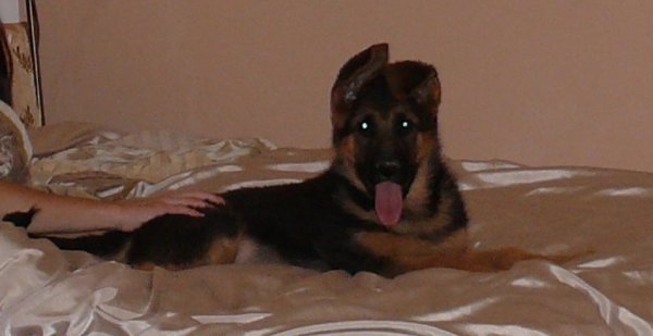 P1500280