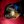 dsc00905.jpg