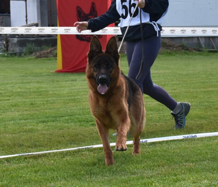 DSC 4117