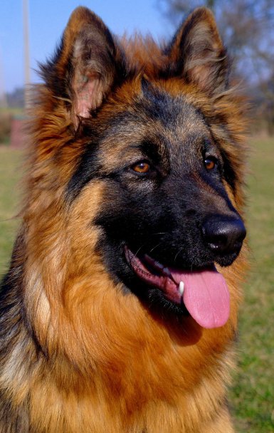 sam_6628.jpg