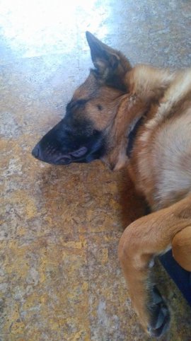 IMG 20161229 141529