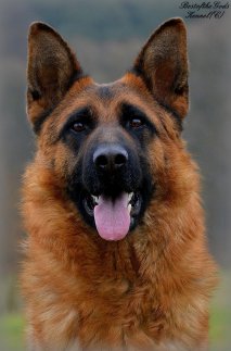 DSC 1260