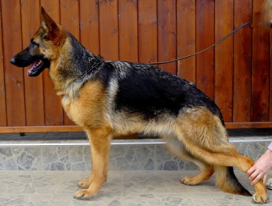 sam_0260.jpg