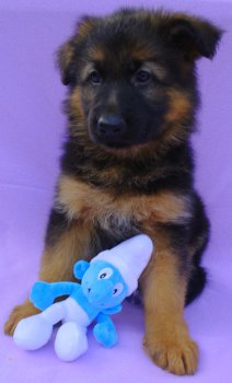 sam_1703.jpg