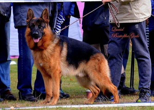 DSC 1879