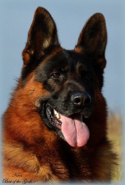 DSC 0598 - kopie 3