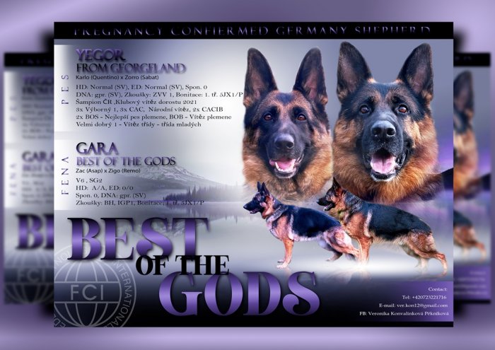 BEST of the gods 2 final - kopie