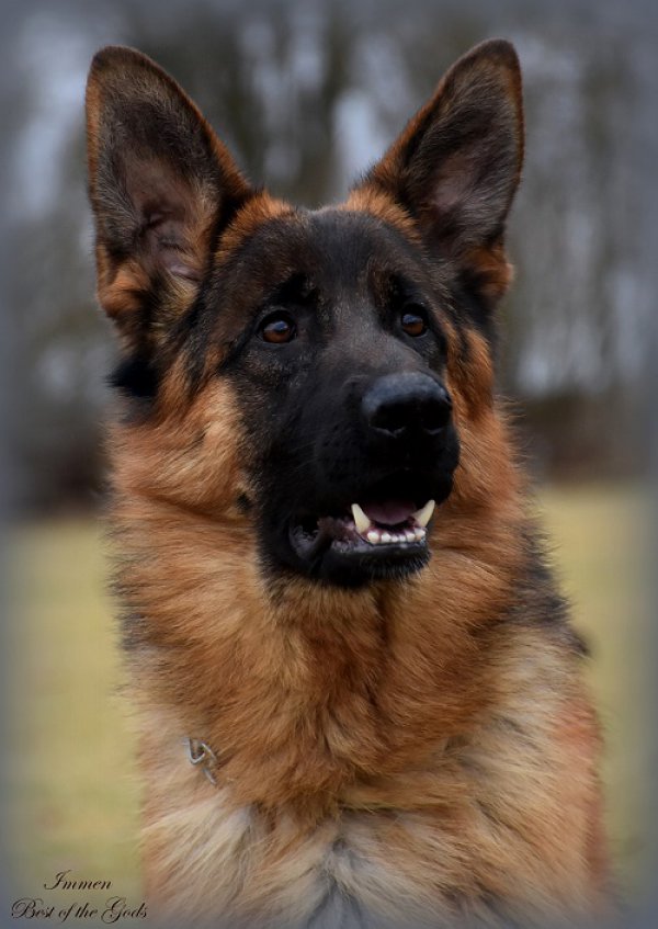 DSC 5196 - kopie