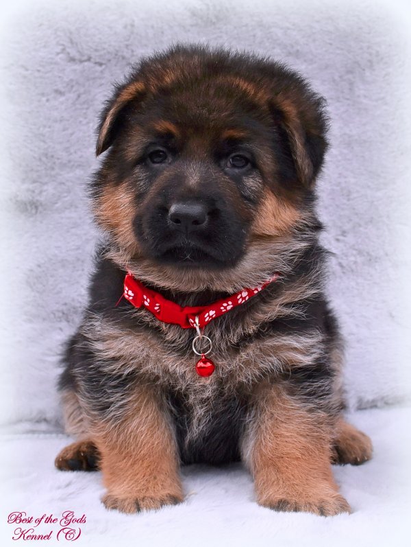 DSC 3979