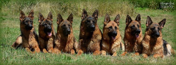 DSC 1397