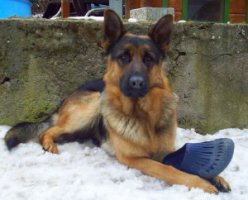 100_5036.jpg