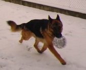 sam_3870.jpg