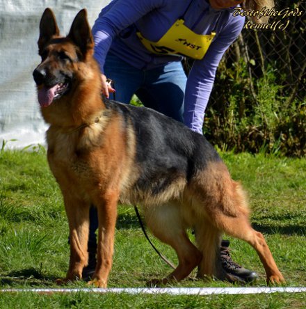 DSC 0386 - kopie