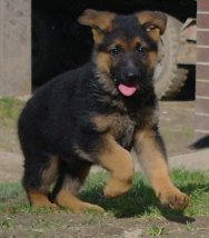 sam_6174.jpg