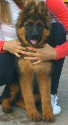 kopie---dsc_0134.jpg