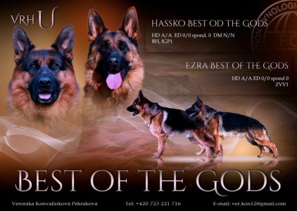 BEST of the gods - kopie