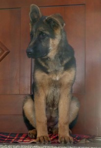 arina-2011-036.jpg