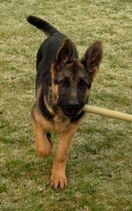 arina-2011-ll.-049.jpg