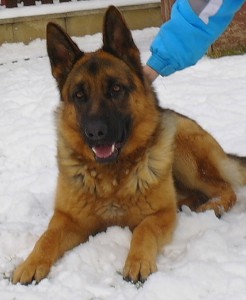 sam_3864.jpg