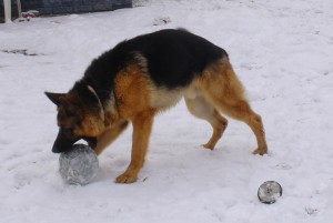 sam_3873.jpg