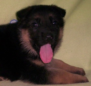 fenna-zel-1m.jpg
