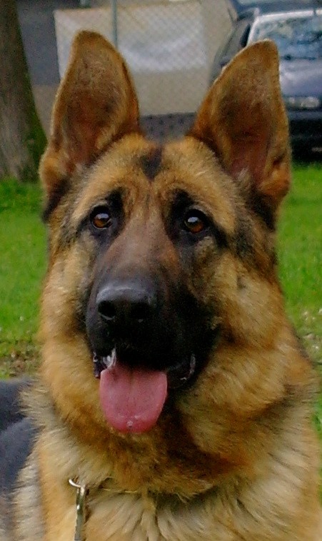 sam_9985.jpg