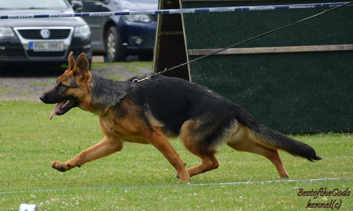 DSC 0086
