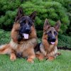 Jenny & Onex