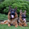 Jenny & Onex