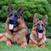 Jenny & Onex