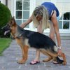 Jenny & Onex
