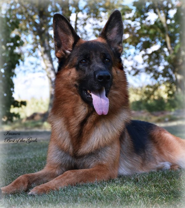 DSC 8044