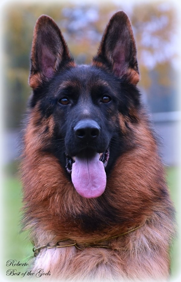 DSC 0779 - kopie