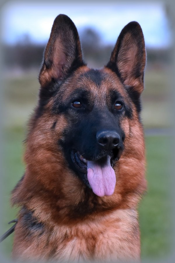 DSC 2992 - kopie