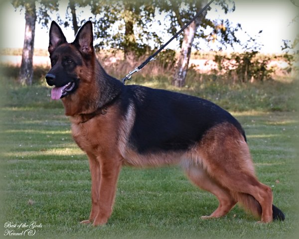 DSC 1083