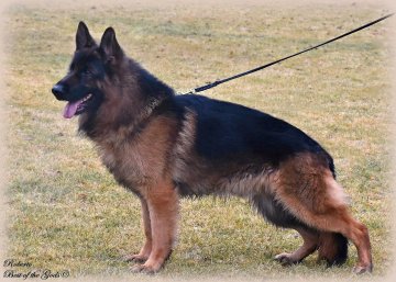 DSC 5701 - kopie